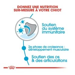 Royal Canin Giant Junior - Hondenvoer - 15kg -ROYAL CANIN Winkel royal canin giant junior giant junior 2