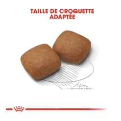 Royal Canin Giant Junior - Hondenvoer - 15kg -ROYAL CANIN Winkel royal canin giant junior giant junior 3