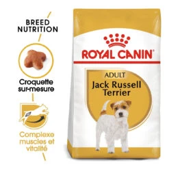 Royal Canin Jack Russell Adult - Hondenvoer - 7,5kg -ROYAL CANIN Winkel royal canin jack russell adult jack russell adulte 1