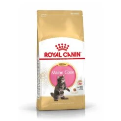 Royal Canin Maine Coon Kitten Kat 10kg -ROYAL CANIN Winkel royal canin maine coon kitten maine coon kitten
