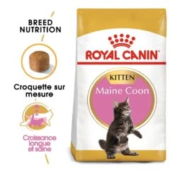 Royal Canin Maine Coon Kitten Kat 10kg -ROYAL CANIN Winkel royal canin maine coon kitten maine coon kitten 1