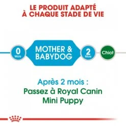 Royal Canin Mini Starter Mother & Babydog 8kg -ROYAL CANIN Winkel royal canin mini starter mini starter 4