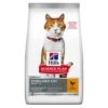 Hill's Science Plan Young Adult Sterilised Cat Kattenvoer Met Kip 15kg -ROYAL CANIN Winkel science plan adulte chat sterilis C3 A9 croquettes poulet 1 FR 3