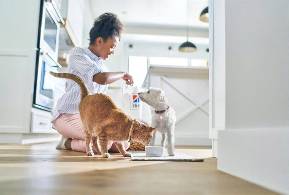 ROYAL CANIN Winkel -ROYAL CANIN Winkel z6824522994260 25d7407ceee29f6d6ef148e1feab795a